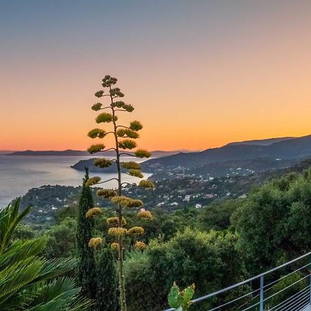 Vistazur Luxueux Appartement Avec Terrasse Et Piscine Le Le Rayol-Canadel-sur-Mer 외부 사진