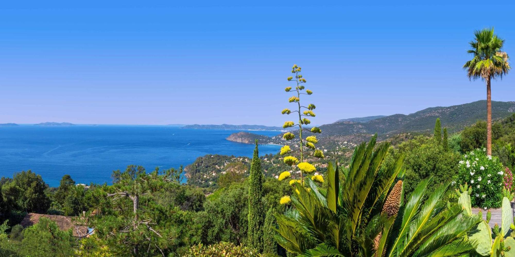 Vistazur Luxueux Appartement Avec Terrasse Et Piscine Le Le Rayol-Canadel-sur-Mer 외부 사진